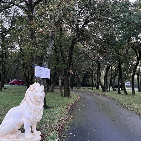 De Bed & Breakfast 3*