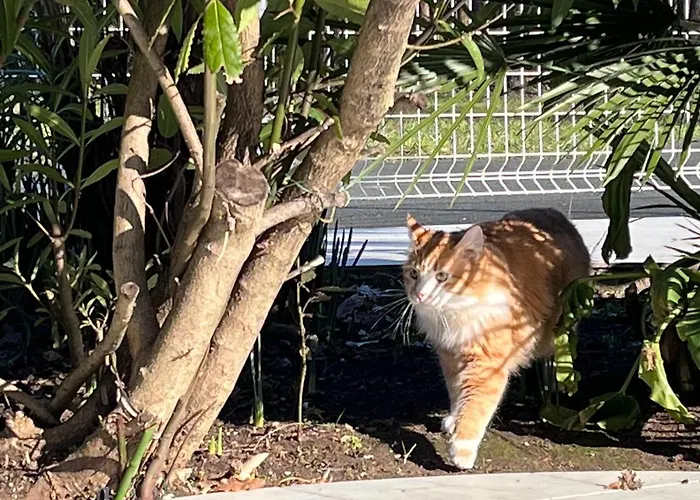 Bed and breakfast De L’eguille 3*