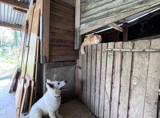 De L’eguille 3* LʼÉguille